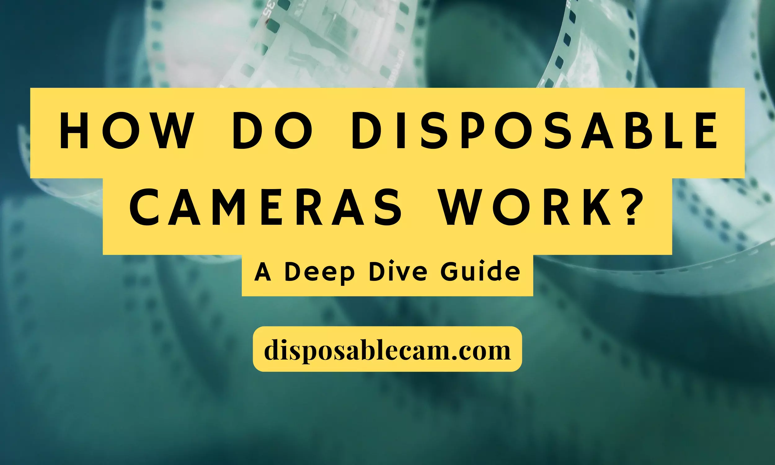 Discover how disposable cameras work and the correct way to utilize them