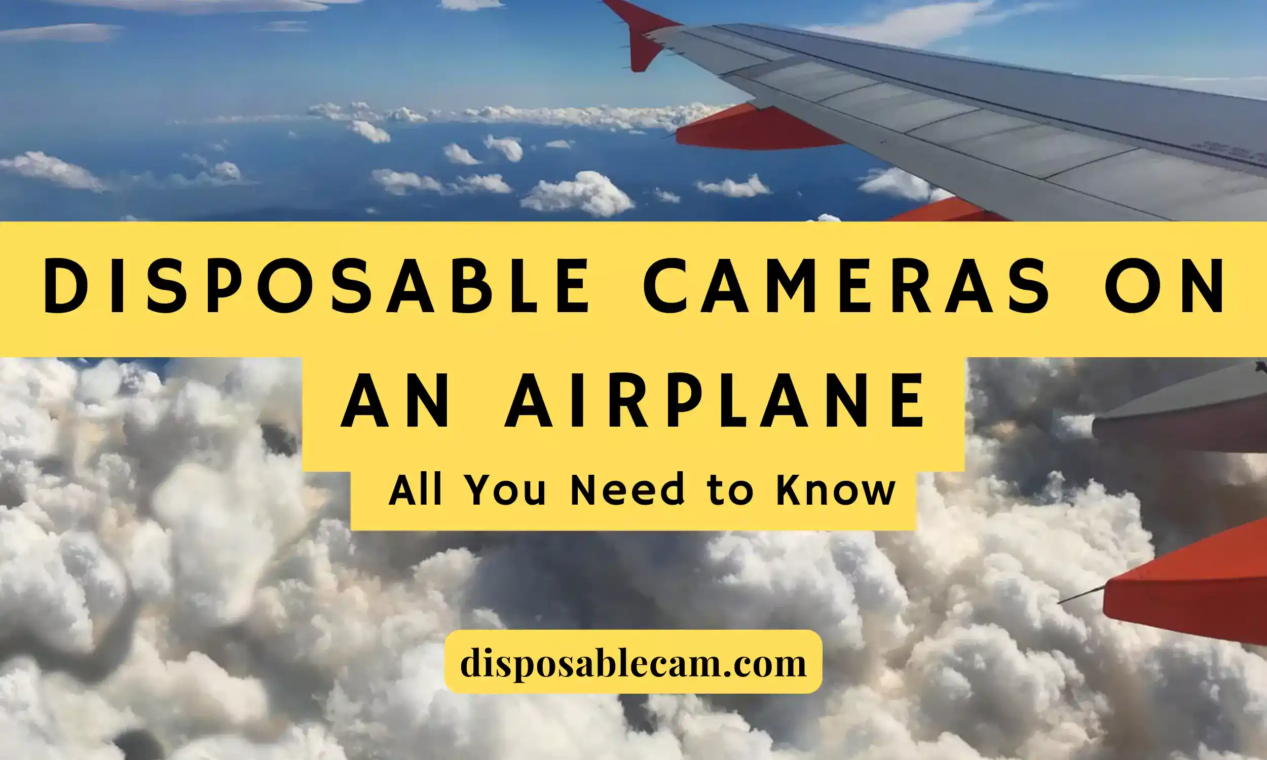All you need to know about bringing disposable cameras on an airplane