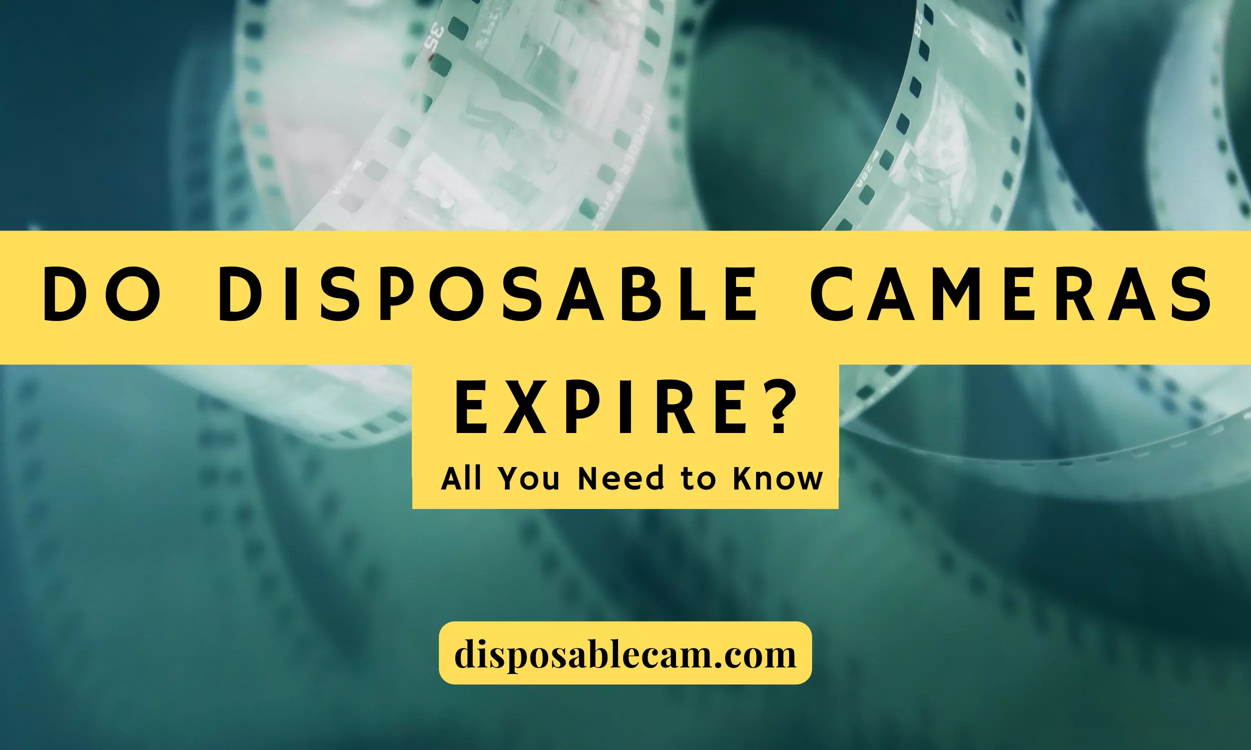 do disposable cameras expire? All you need to know